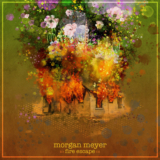 Morgan Meyer - Fire Escape